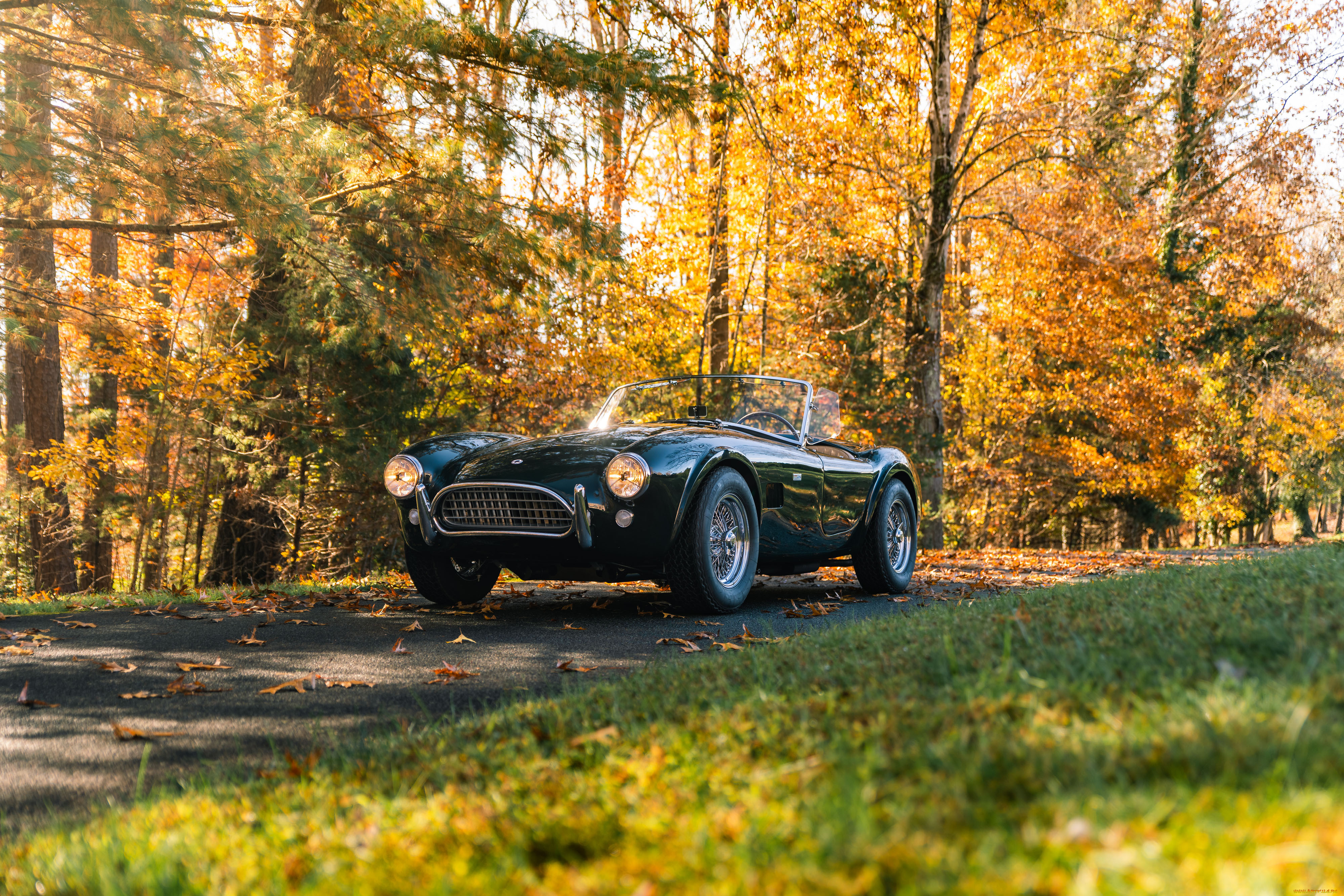 , ac cobra, shelby